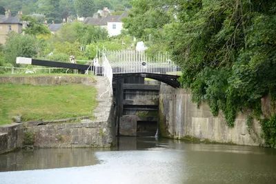 DSC_2714 (Large).JPG